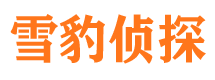 衡东市私家侦探